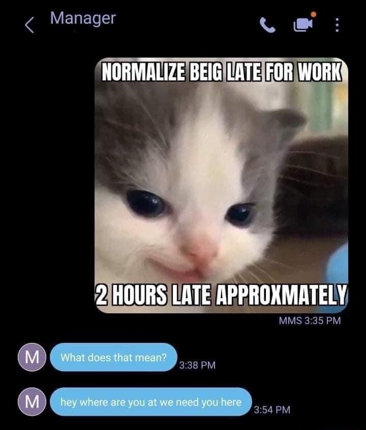 ELELg L vzmmninmm MMS 335 PM D v CEERRED