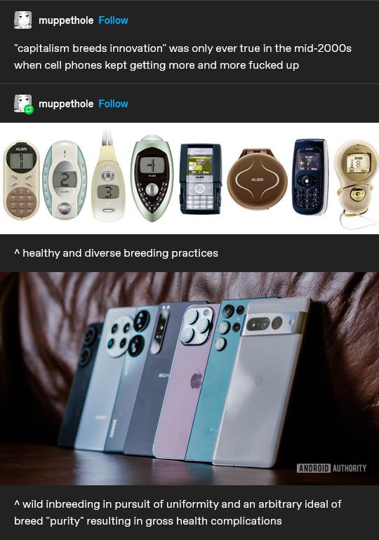T capitalism breeds innovation was only ever true in the mid 2000s when cell phones kept getting more and more fucked up Y A wild inbreeding in pursuit of uniformity and an arbitrary ideal of breed purity resulting in gross health complications