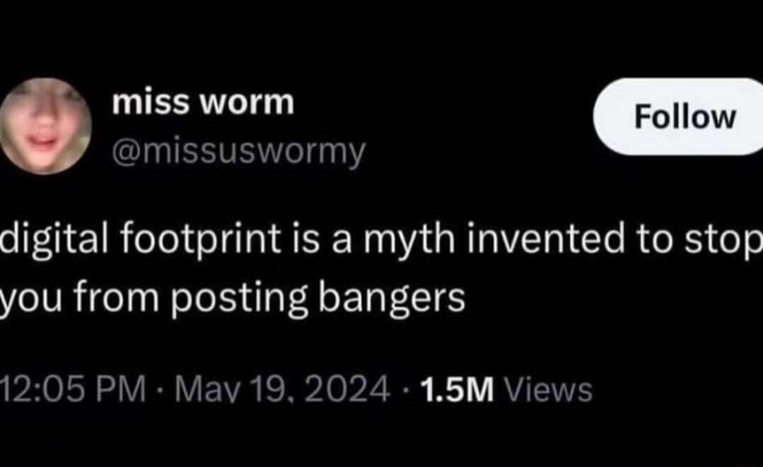 miss worm IS L digital footprint is a myth invented to stop you from posting bangers 1205 PM May 19 2024 15M Views