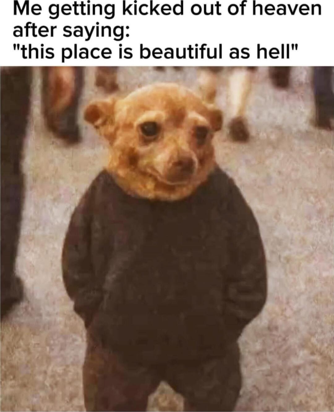 Me getting kicked out of heaven after saying: 