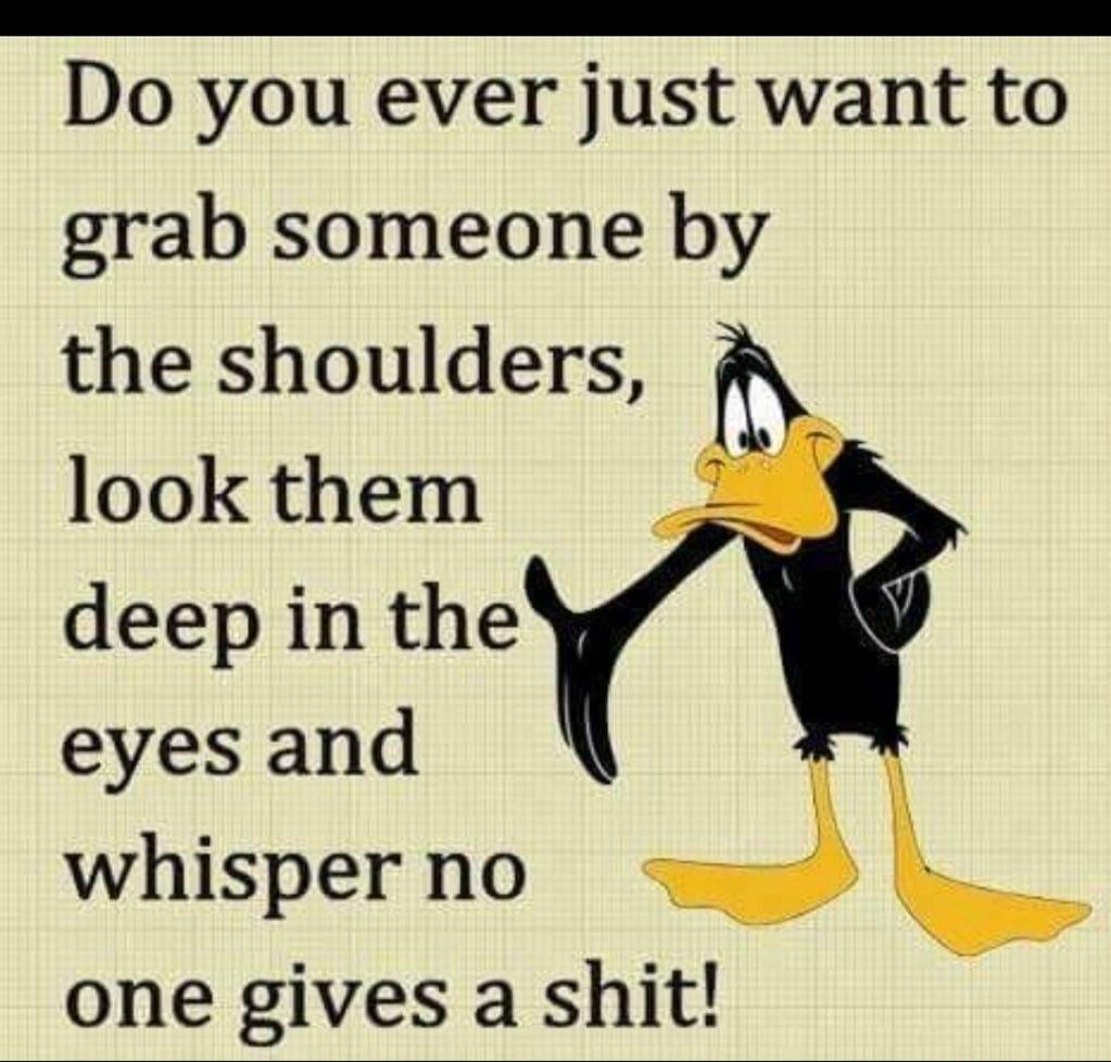 e Ll A S Do you ever just want to grab someone by the shoulders look them deep in the eyes and whisper no one gives a shit