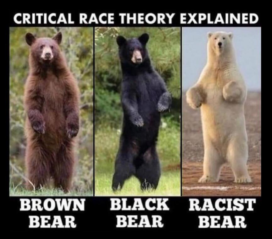 CRITICAL RACE THEORY EXPLAINED BROWN BEAR BLACK BEAR RACIST BEAR