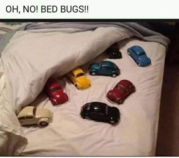 OH NO BED BUGS