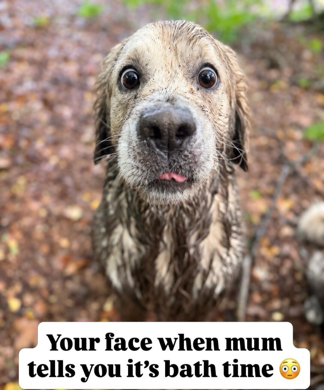 Your face when mum tells you it's bath time 😳