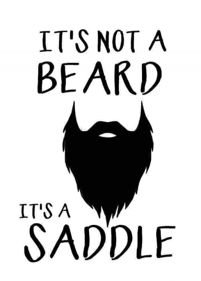 IT'S NOT A BEARD IT'S A SADDLE