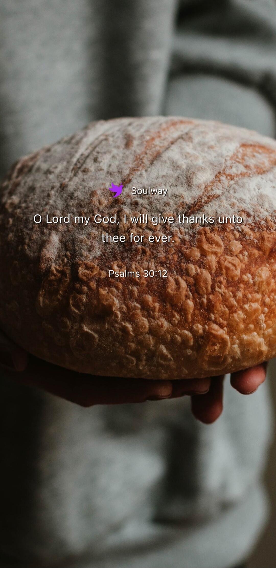 Soulway O Lord my God, I will give thanks unto thee for ever. Psalms 30:12