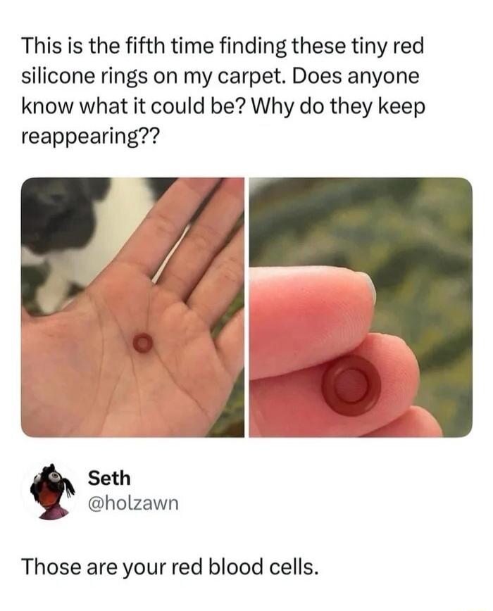 This is the fifth time finding these tiny red silicone rings on my carpet. Does anyone know what it could be? Why do they keep reappearing?? Seth @holzawn Those are your red blood cells.