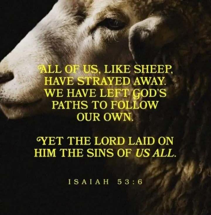 ALL OF US, LIKE SHEEP, HAVE STRAYED AWAY. WE HAVE LEFT GOD'S PATHS TO FOLLOW OUR OWN. YET THE LORD LAID ON HIM THE SINS OF US ALL. ISAIAH 53:6