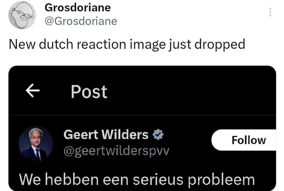 Grosdoriane New dutch reaction image just dropped Post Geert Wilders N seertwilde We hebben een serieus probleem