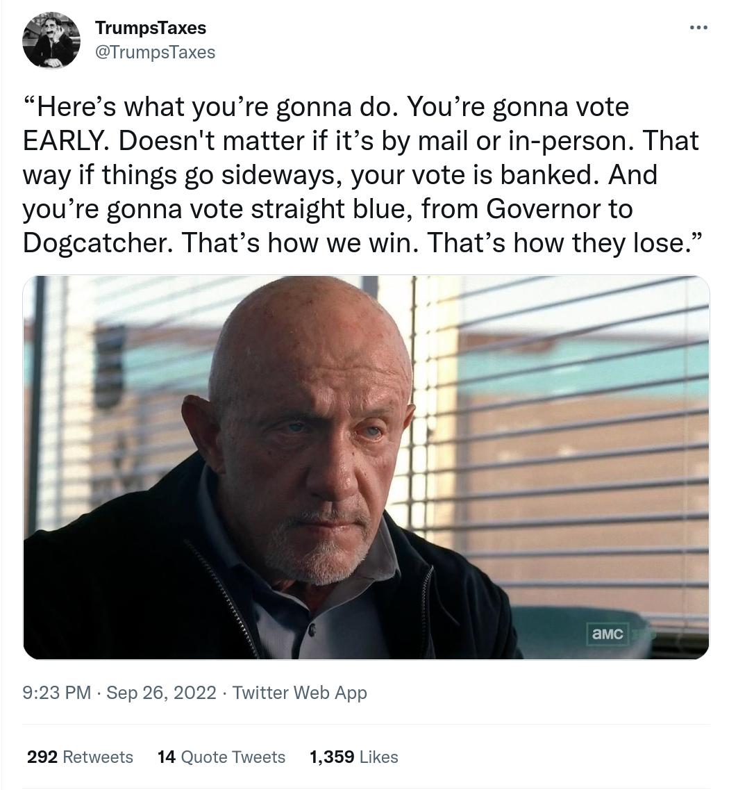 TrumpsTaxes Heres what youre gonna do Youre gonna vote EARLY Doesnt matter if its by mail or in person That way if things go sideways your vote s banked And youre gonna vote straight blue from Governor to Dogcatcher Thats how we win Thats how they lose