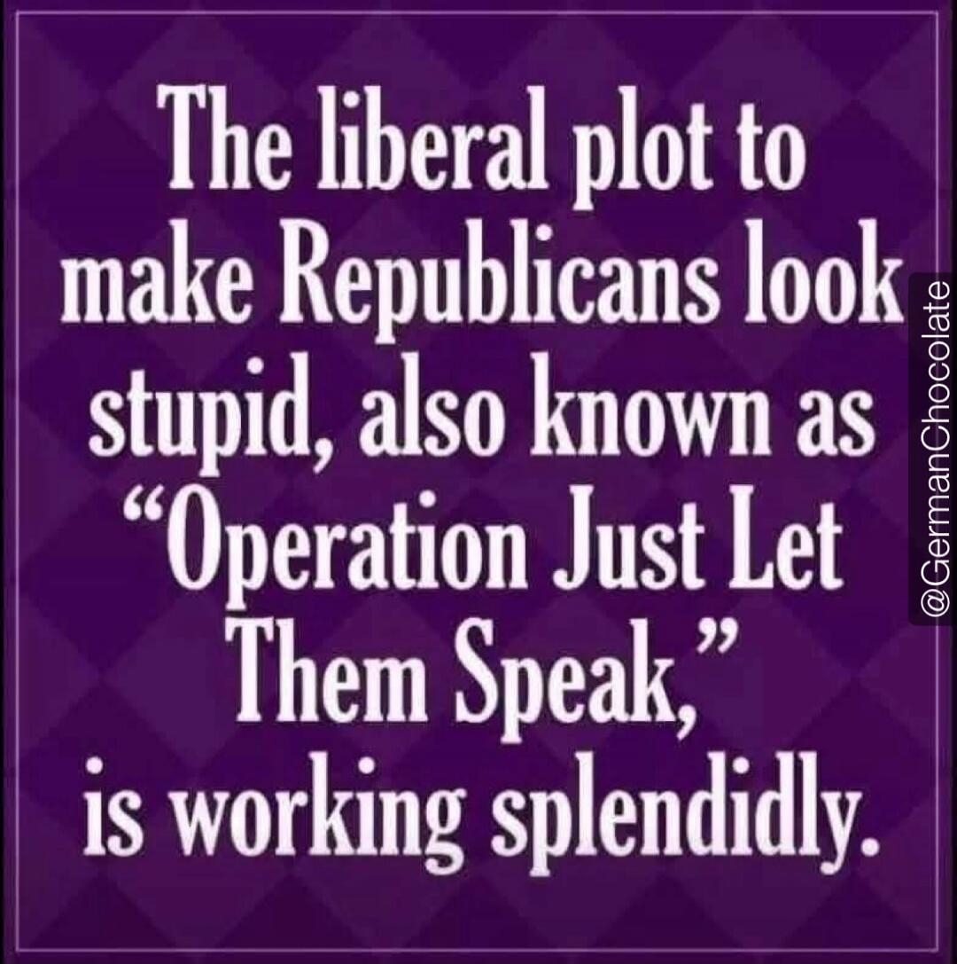The liberal plot to make Republicans look stupid, also known as 