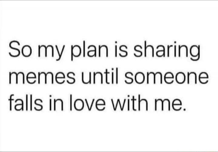 So my plan is sharing memes until someone falls in love with me.