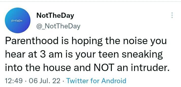 NotTheDay _NotTheDay Parenthood is hoping the noise you hear at 3 am is your teen sneaking into the house and NOT an intruder 1249 06 Jul 22 Twitter for Android