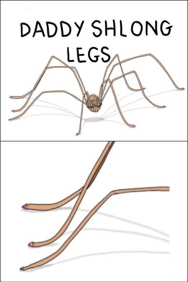 DADDY SHLONG LEGS