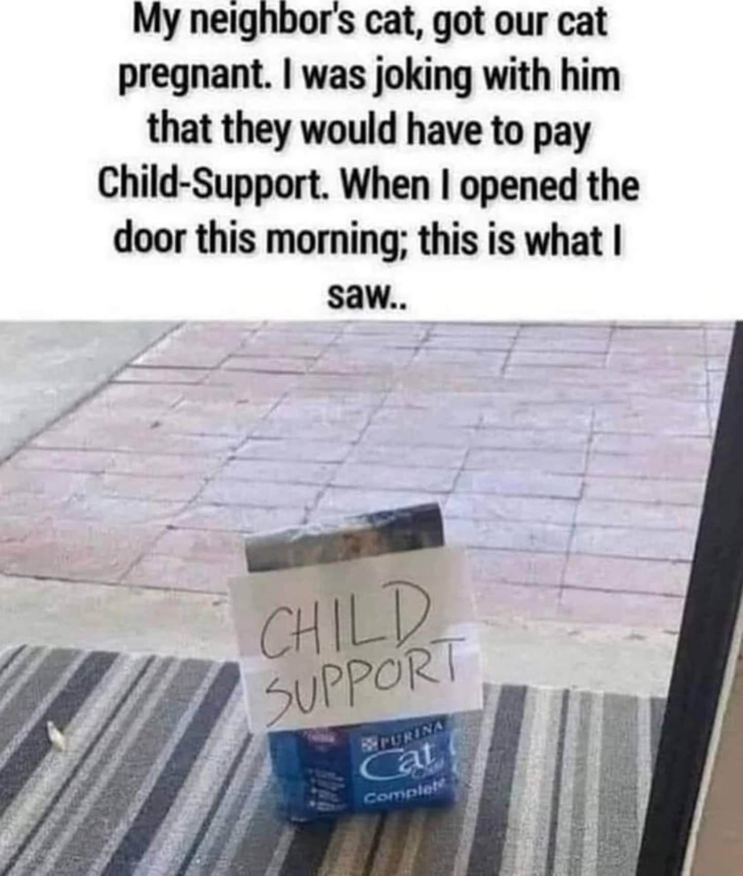 My neighbors cat got our cat pregnant was joking with him that they would have to pay Child Support When opened the door this morning this is what Saw