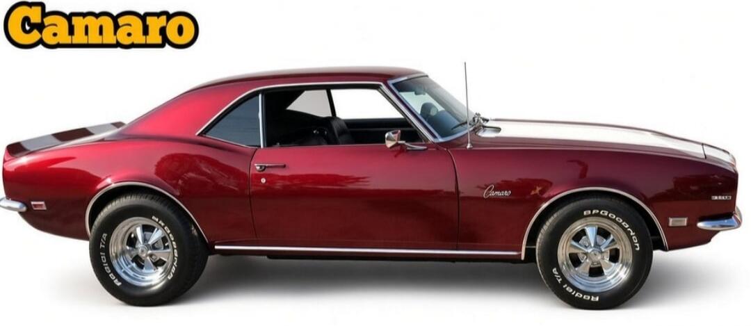 Camaro BFGoodrich Radial T/A