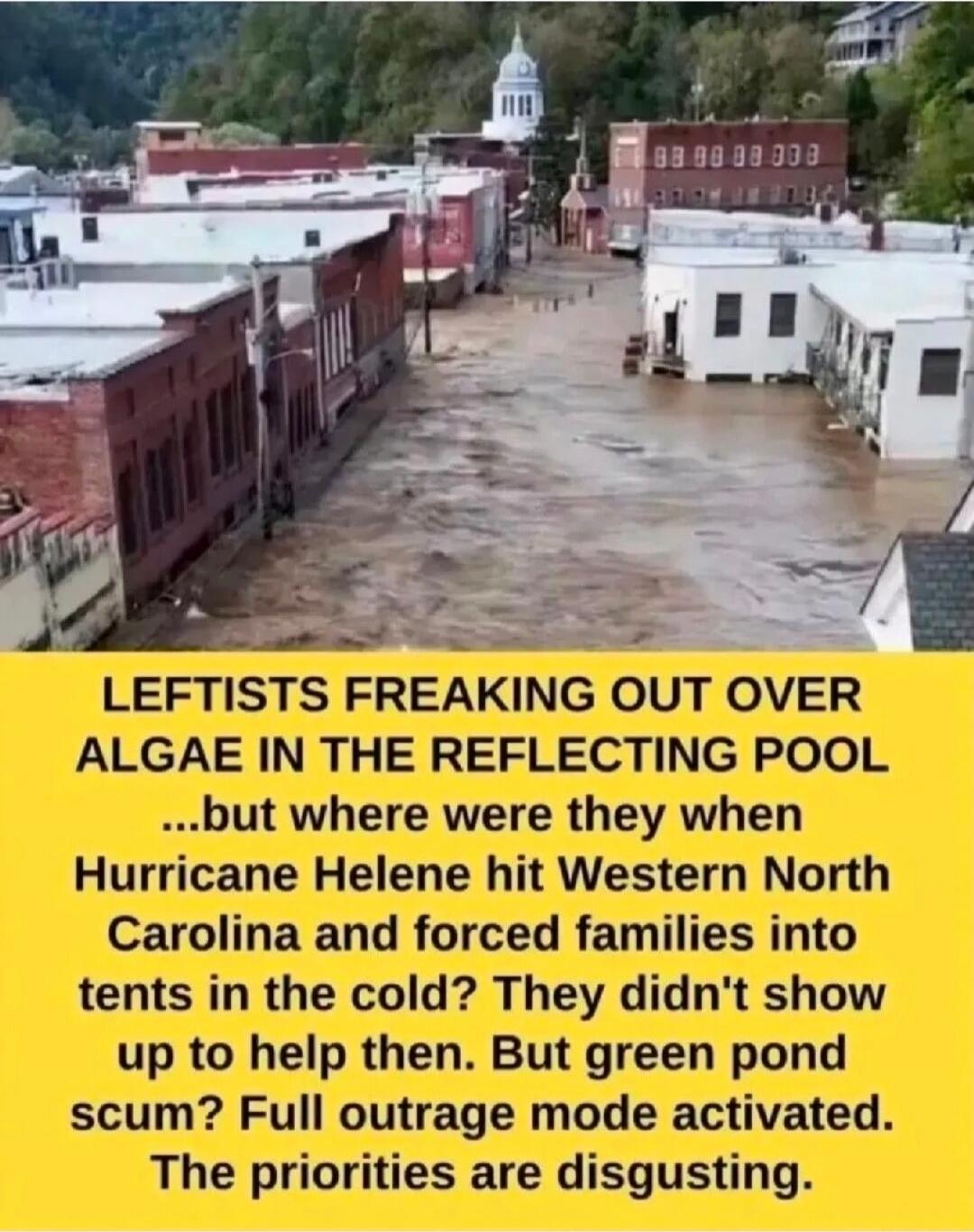 LEFTISTS FREAKING OUT OVER ALGAE IN THE REFLECTING POOL ...but where were they when Hurricane Helene hit Western North Carolina and forced families into tents in the cold? They didn't show up to help then. But green pond scum? Full outrage mode activated. The priorities are disgusting.