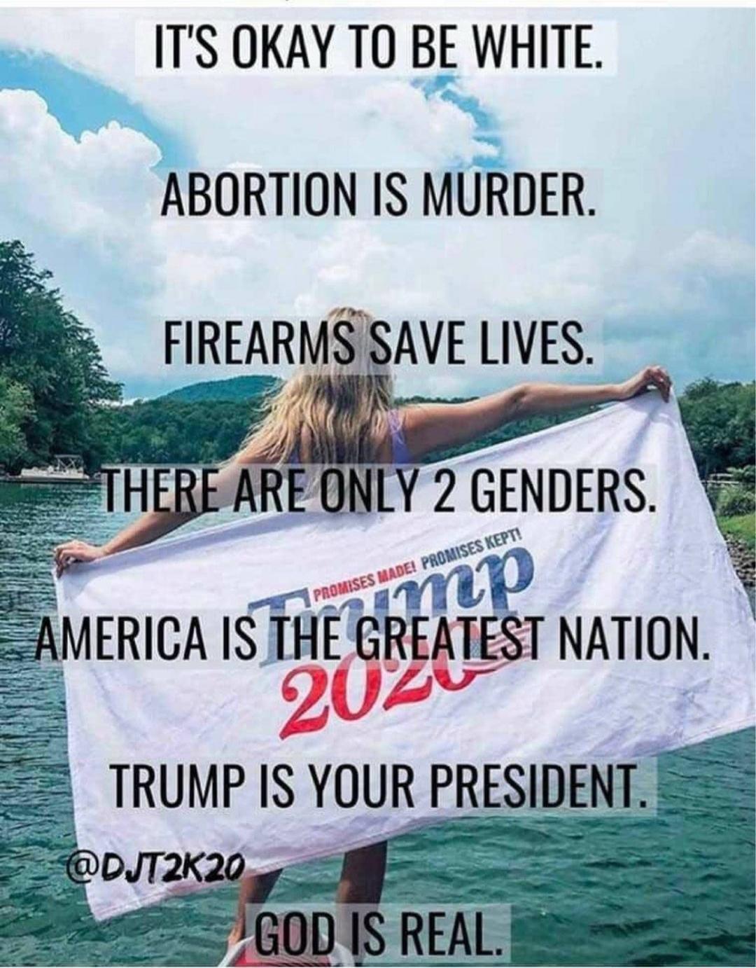 IT'S OKAY TO BE WHITE. ABORTION IS MURDER. FIREARMS SAVE LIVES. THERE ARE ONLY 2 GENDERS. AMERICA IS THE GREATEST NATION. TRUMP IS YOUR PRESIDENT. GOD IS REAL. PROMISES MADE! PROMISES KEPT! Trump 2020. @DJT2K20