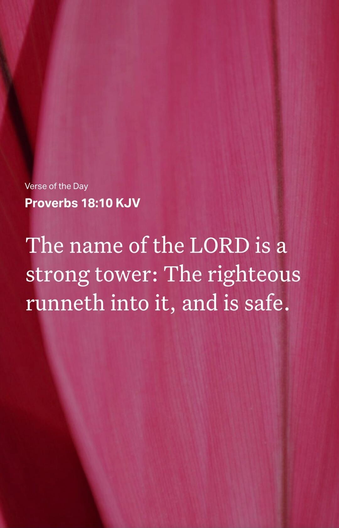 Verse of the Day Proverbs 18:10 KJV
The name of the LORD is a strong tower: The righteous runneth into it, and is safe.