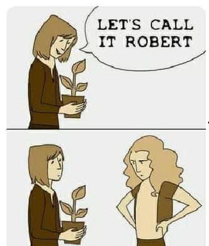 LETS CALL IT ROBERT
