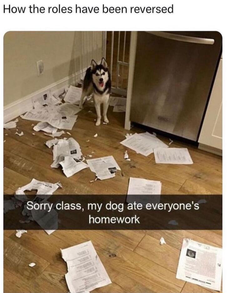 How the roles have been reversed Sorry class my dog ate everyones homework