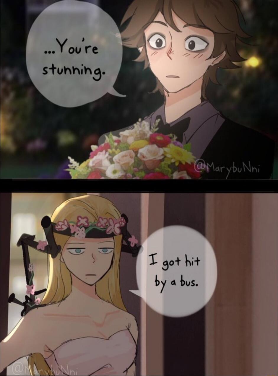 ...You're stunning.
I got hit by a bus.