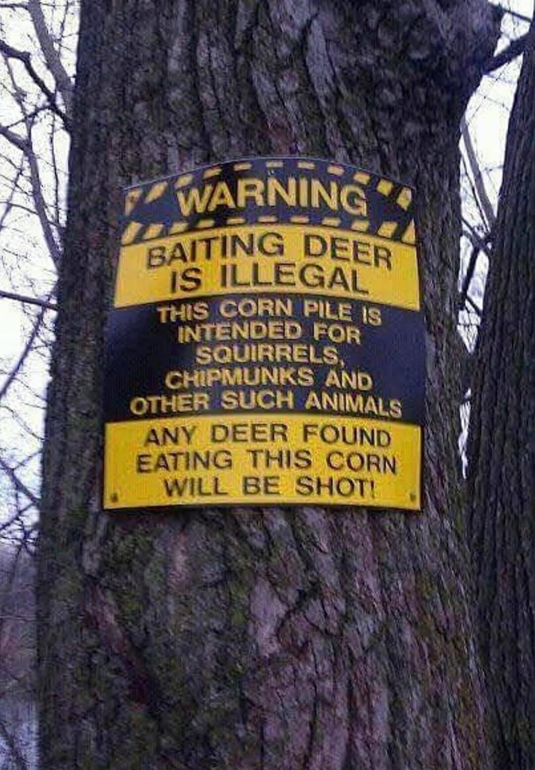 WARNING BAITING DEER IS ILLEGAL THIS CORN PILE IS INTENDED FOR SQUIRRELS, CHIPMUNKS AND OTHER SUCH ANIMALS ANY DEER FOUND EATING THIS CORN WILL BE SHOT!