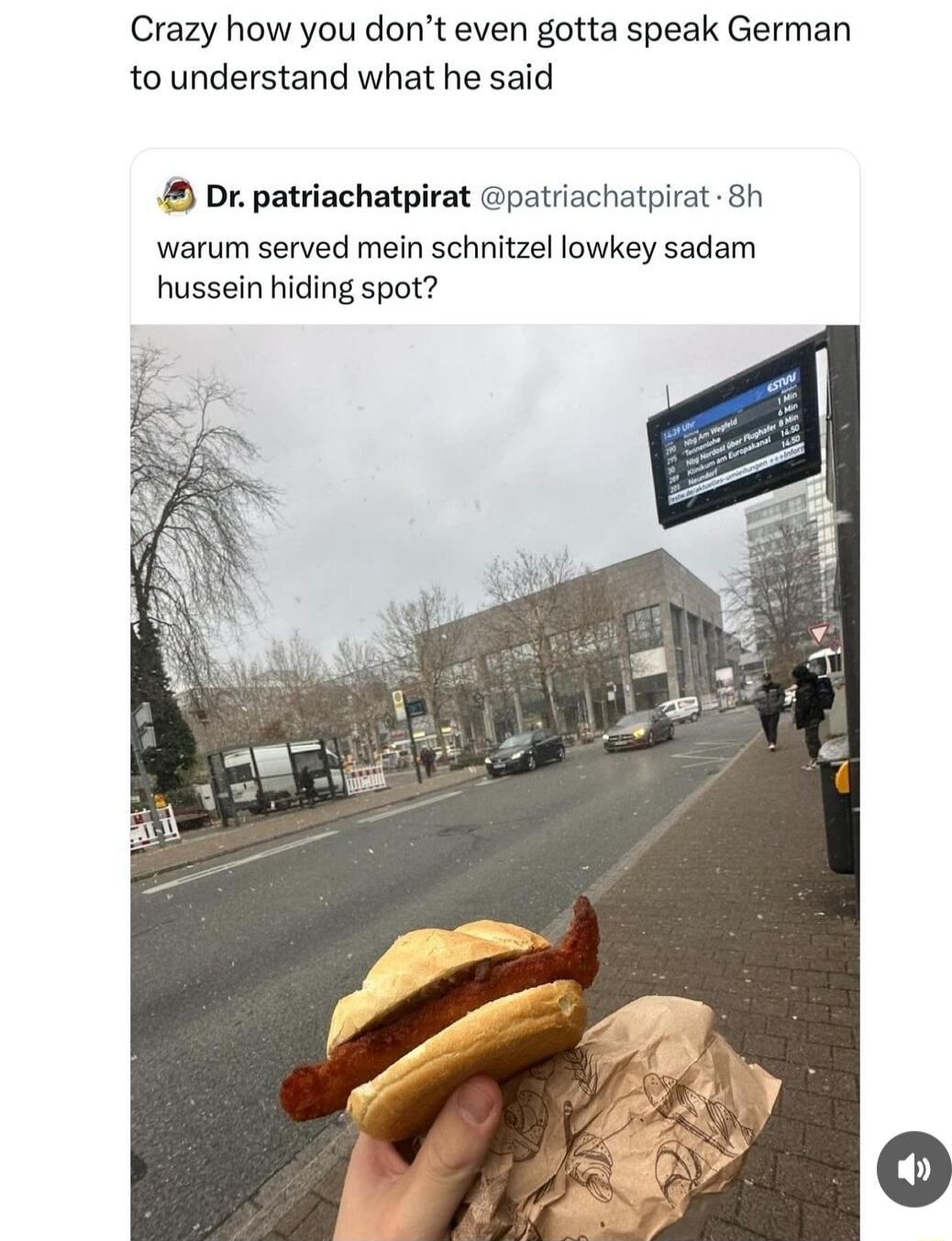 Crazy how you dont even gotta speak German to understand what he said Dr patriachatpirat patriachatpirat 8h warum served mein schnitzel lowkey sadam hussein hiding spot