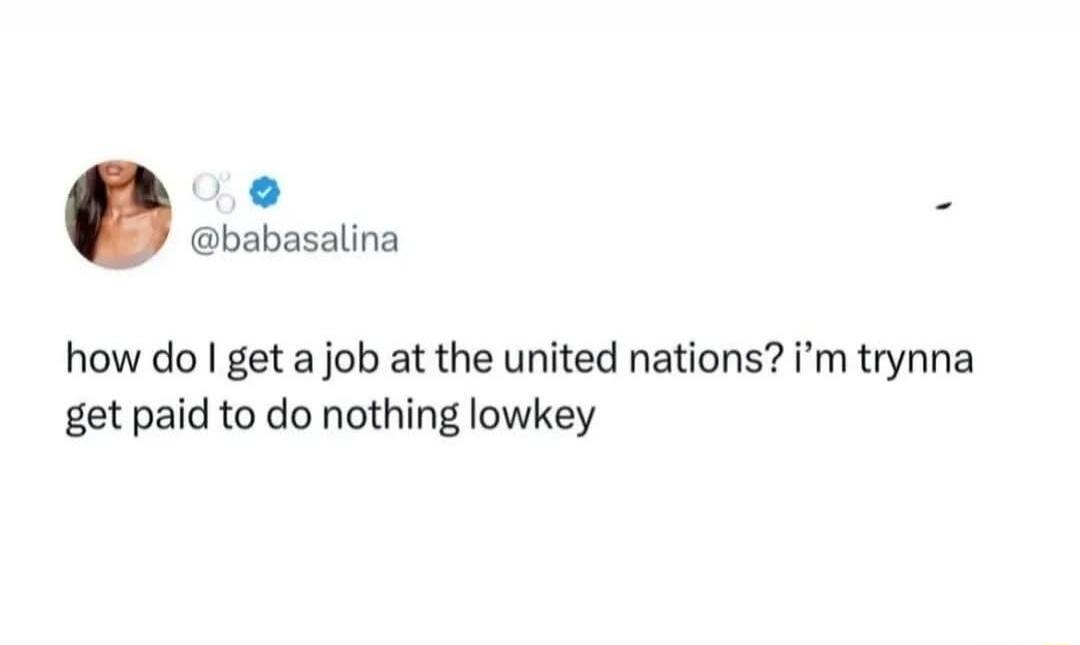 how do I get a job at the united nations? i'm trynna get paid to do nothing lowkey