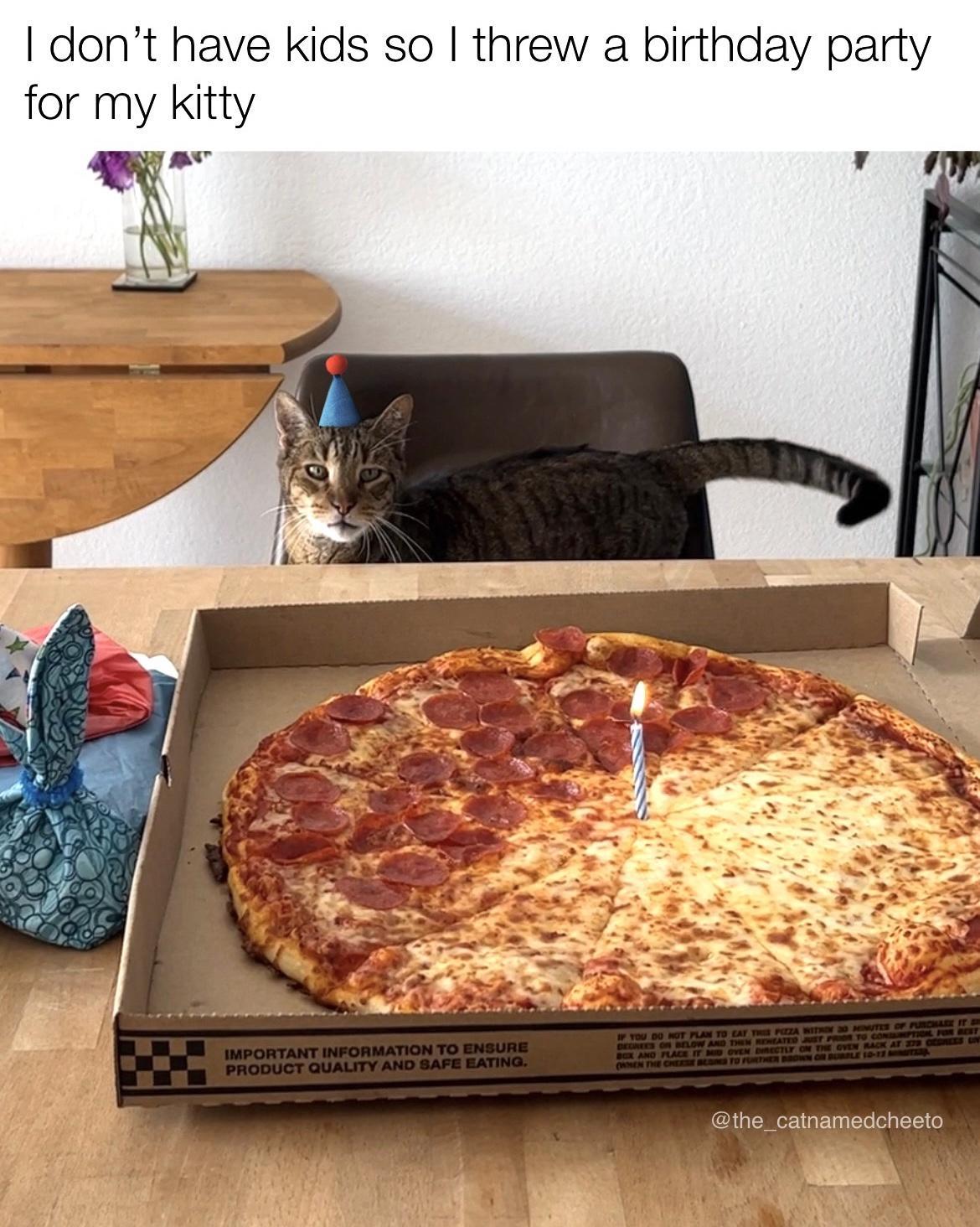 dont have kids so threw a birthday party for my kitty