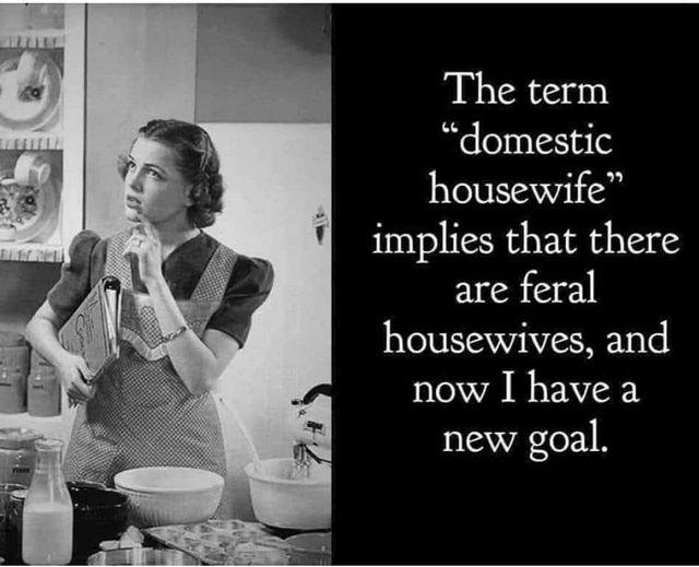 The term domestic housewife implies that there are feral housewives and now I have a new goal