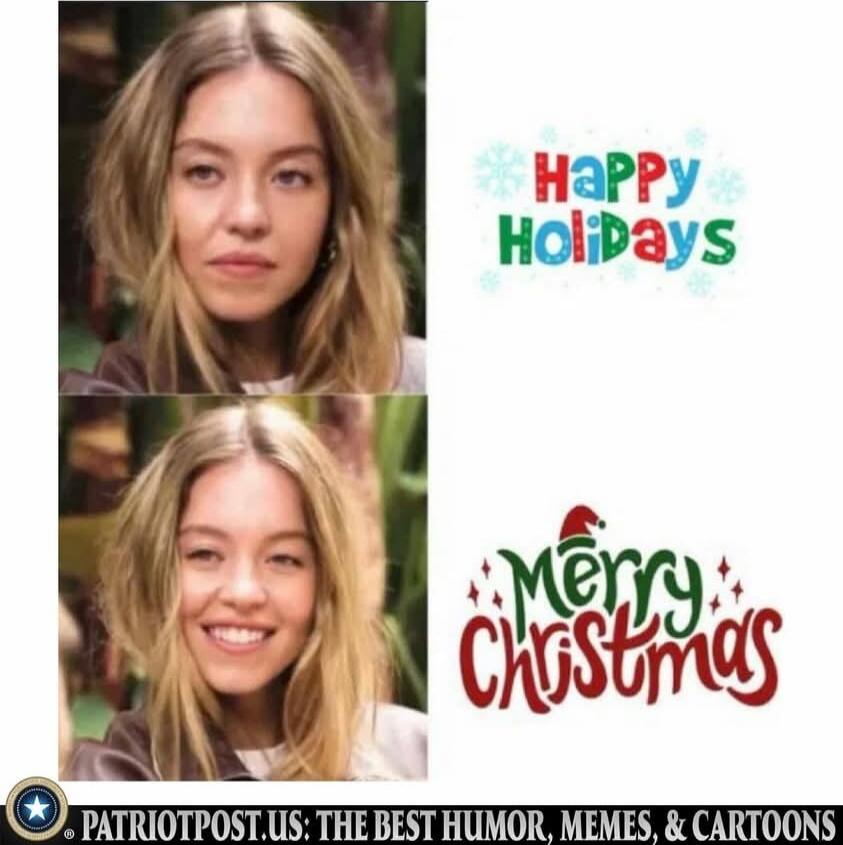 Happy Holidays
Merry Christmas