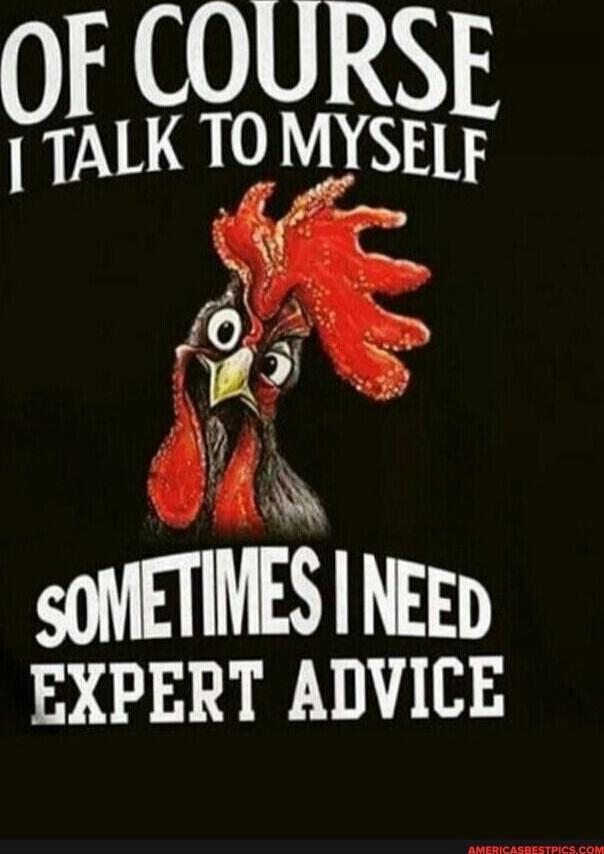 OF COURSE I TALK TO MYSELF SOMETIMES I NEED EXPERT ADVICE