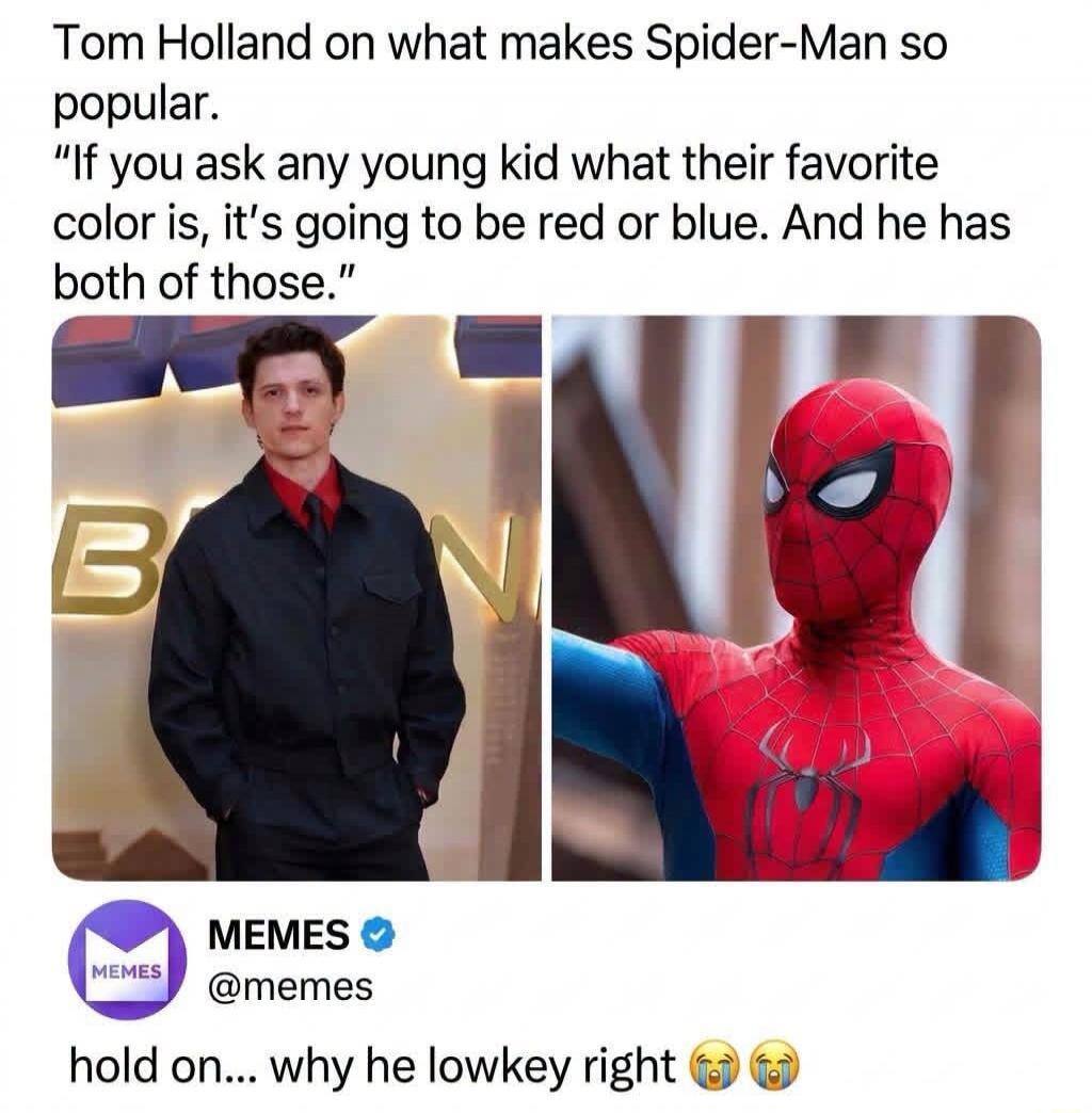 Tom Holland on what makes Spider-Man so popular.
