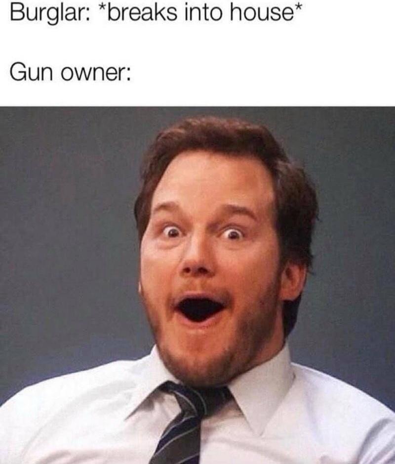 Burglar: *breaks into house*
Gun owner: