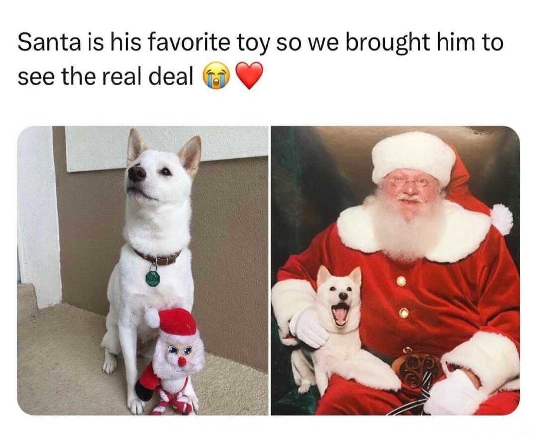 Santa is his favorite toy so we brought him to see the real deal