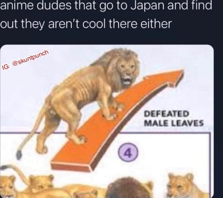 clallnpicRe VeSO pt lqeoR oJNTorz k g out they arent cool there either DEFEATED MALE LEAVES