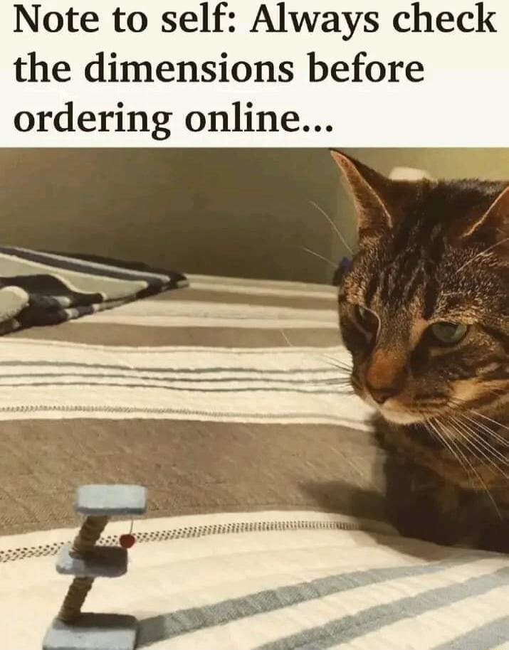 Note to self Always check the dimensions before ordering online