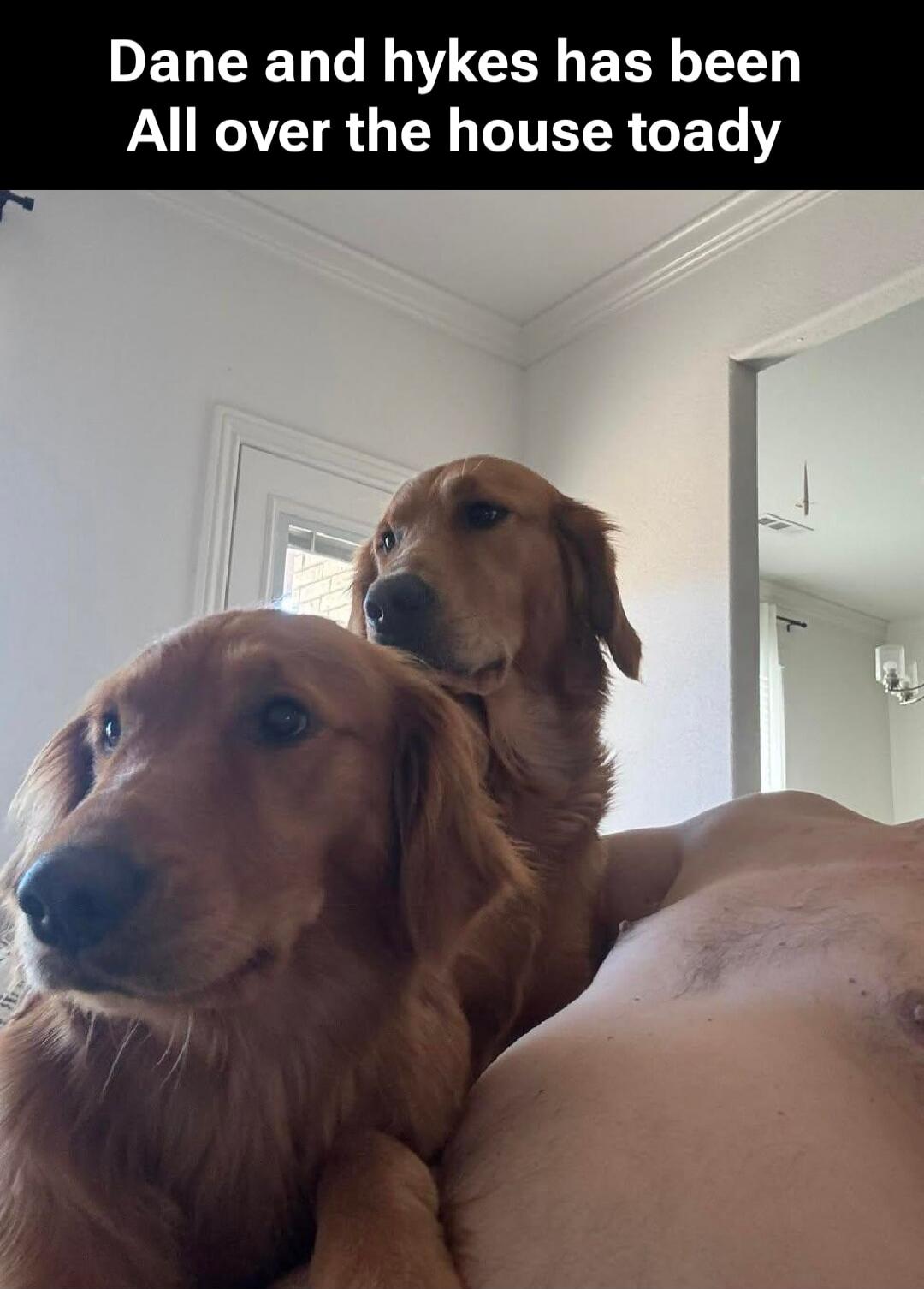 Dane and hykes has been All over the house today