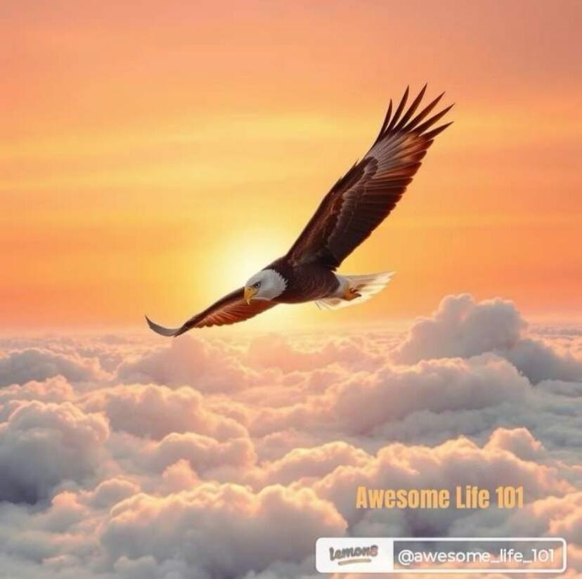 Awesome Life 101 Lemons @awesome_life_101