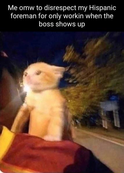 VN1 WA s N 1 o Tty o AL o Yo Ty e foreman for only workin when the boss shows up