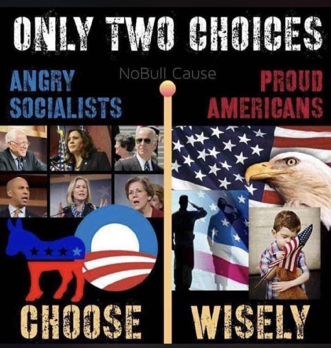 ONLY TWO CHOICES NoBull Cause ANGRY SOCIALISTS PROUD AMERICANS CHOOSE WISELY. Images of Bernie Sanders, Kamala Harris, Joe Biden, Cory Booker, Gretchen Whitmer, Elizabeth Warren, a Democratic donkey logo, and a stylized 'O' with US flag colors are shown on the left. On the right, there's a US flag, a bald eagle, soldiers saluting, and a child holdi