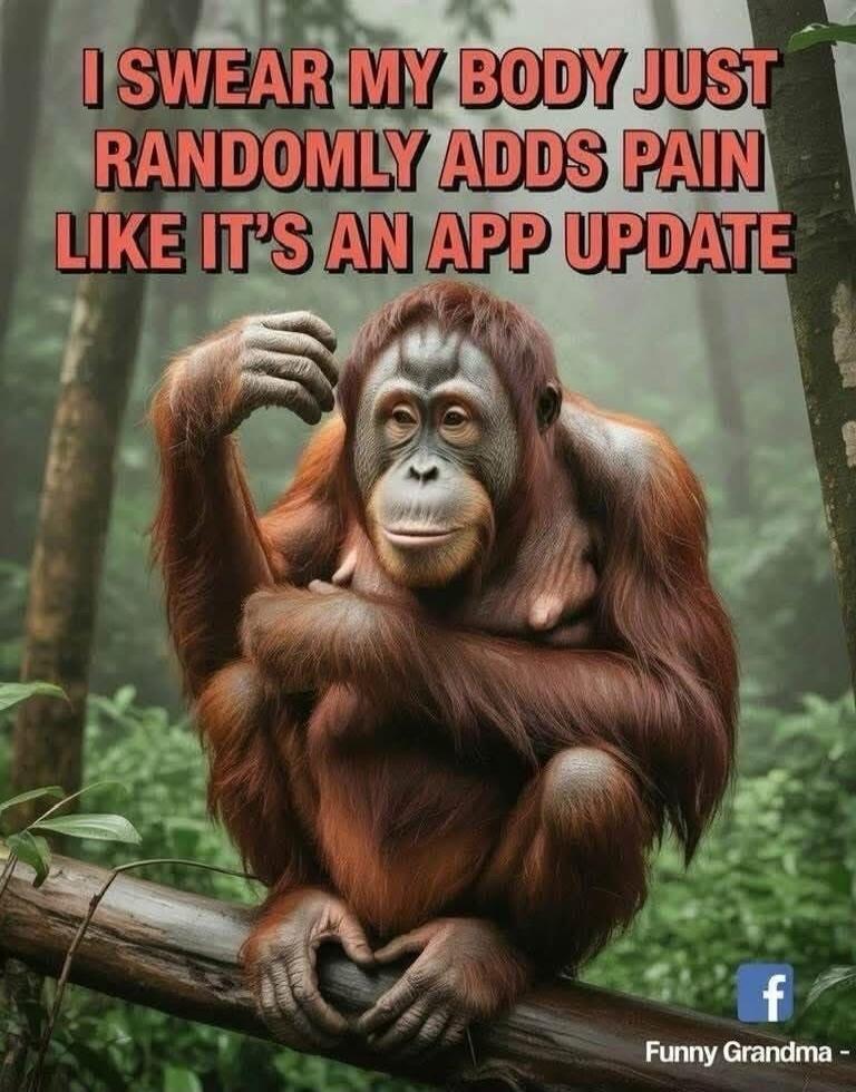 I SWEAR MY BODY JUST RANDOMLY ADDS PAIN LIKE IT'S AN APP UPDATE