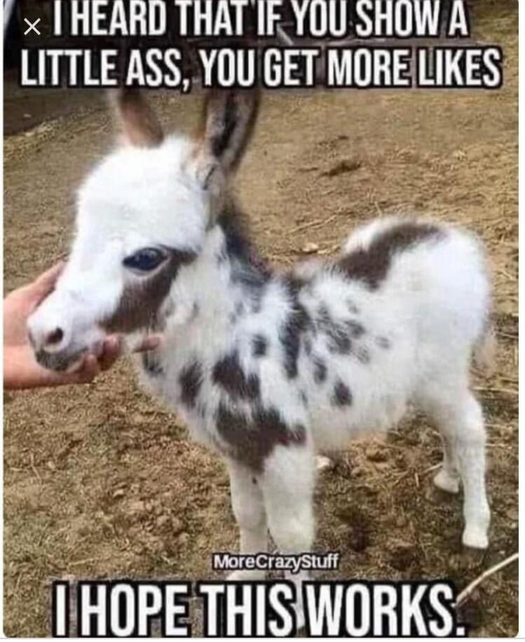 I HEARD THAT IF YOU SHOW A LITTLE ASS, YOU GET MORE LIKES. I HOPE THIS WORKS.
