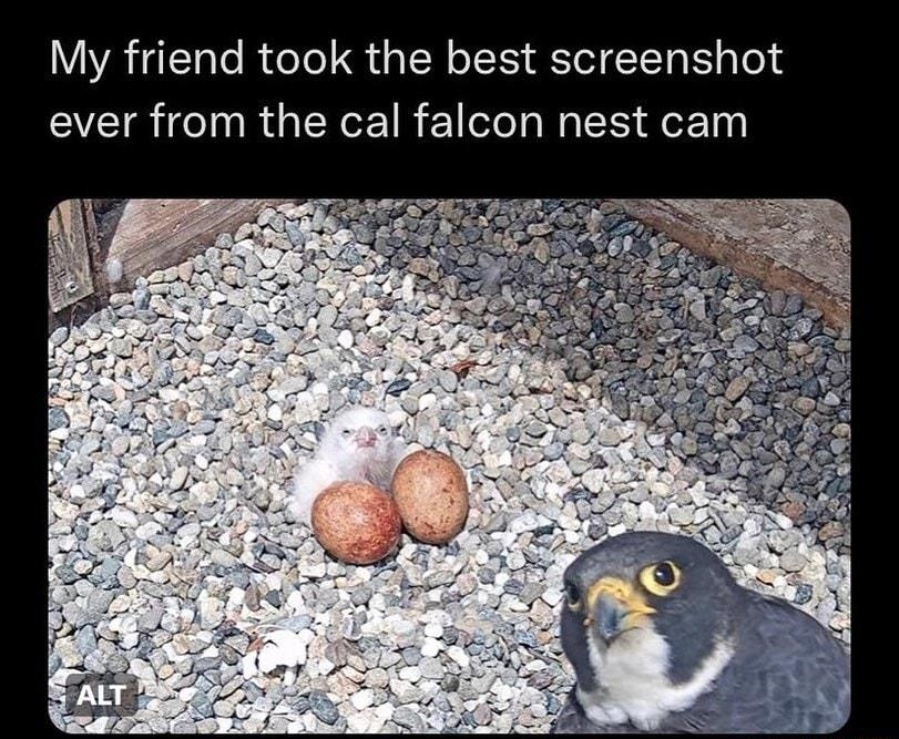 Jenny the Bets splittingintwo My friend took the best screenshot EVEIR IR GERCEIR Il N 2Ty