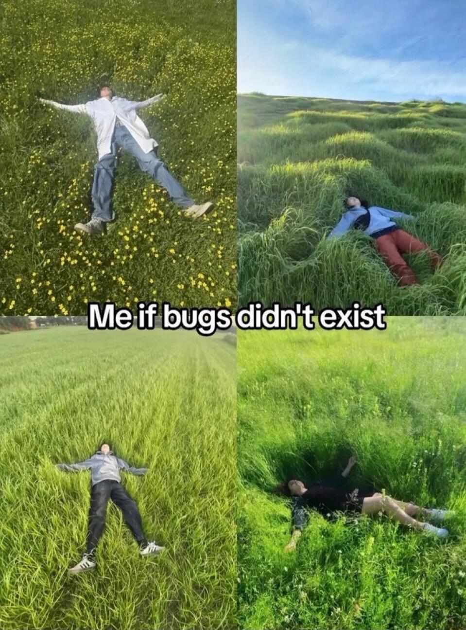 Me if bugs didn't exist
