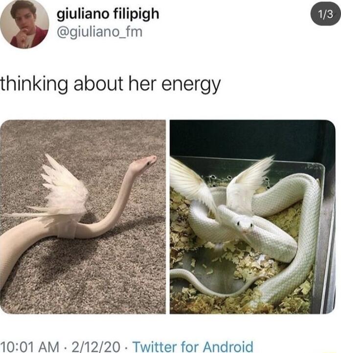 giuliano filipigh giuliano_fm thinking about her energy 1001 AM 21220 Twitter for Android