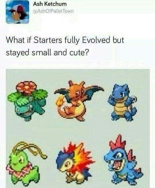 Ash Ketchum s OfPallstTow What if Starters fully Evolved but stayed small and cute koA
