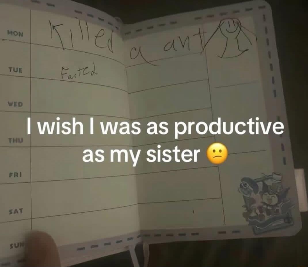 I wish I was as productive as my sister