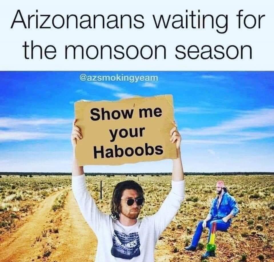 Arizonanans waiting for the monsoon season @azsmokingyeam Show me your Haboobs